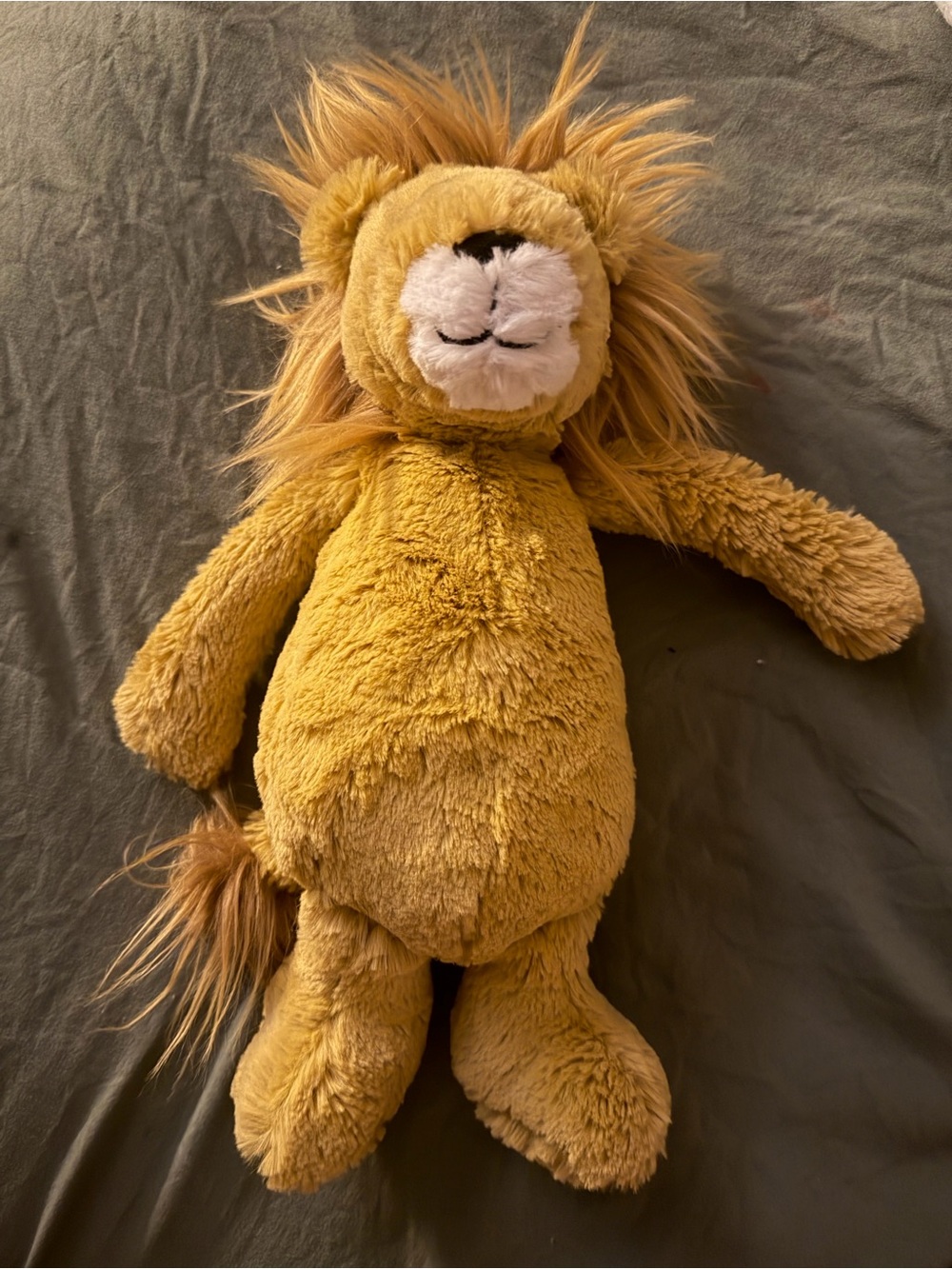 authentic bashful lion jellycat - 12in
